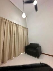 laurel-tree photo thumbnail #6